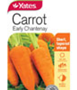 Yts Carrot Early Chantenay - 1