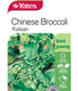 Yts Chinese Broccoli Kailaan -