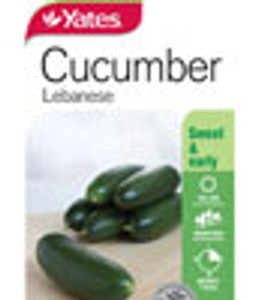 Yts Cucumber Lebanese - 1