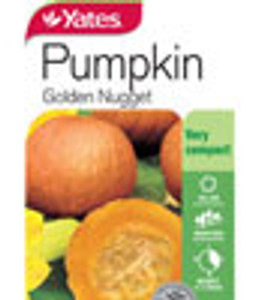 Yts Pumpkin Golden Nugget - 1