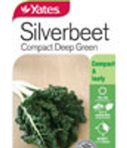 Yts Silverbeet Compact Deep Gr