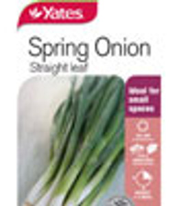 Yts Spring Onion Straight Leaf Yts Spring Onion Straight Leaf