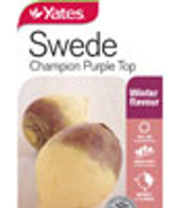 Yts Swede Champion Purple - 1 Yts Swede Champion Purple - 1