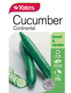 Yts Cucumber Continental - 2