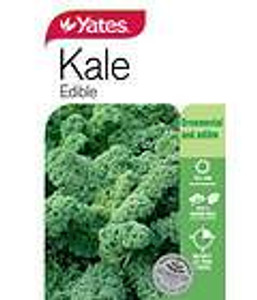 Yts Kale Edible - 1 Yts Kale Edible - 1