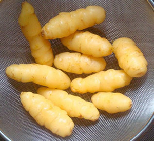 Yam Seed - Inca Gold 200g Yam Seed - Inca Gold 200g