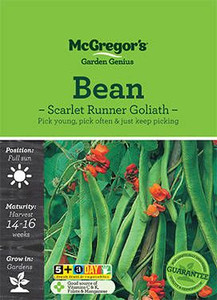 MG Beans Scarlet Runner Goliat MG Beans Scarlet Runner Goliat