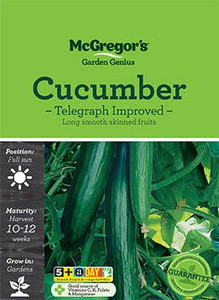 MG Cucumber Telegraph F1 MG Cucumber Telegraph F1