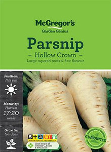 MG Parsnip Hollow Crown MG Parsnip Hollow Crown