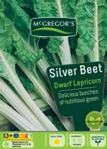 MG Silverbeet Lepricorn Dwarf MG Silverbeet Lepricorn Dwarf
