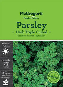MG Herb Parsley Triple Curled MG Herb Parsley Triple Curled