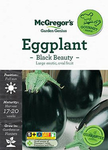 MG G Egg Plant Black Beauty MG G Egg Plant Black Beauty