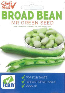 Ican Bean Broad Mr Green