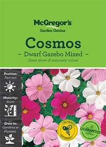 MG Cosmos Gazebo Mix MG Cosmos Gazebo Mix