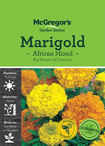 MG Marigold African Mixed MG Marigold African Mixed