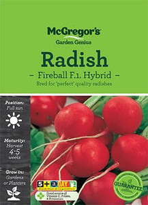MG Radish Fireball MG Radish Fireball