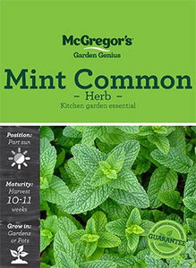 MG Herb Common Mint MG Herb Common Mint