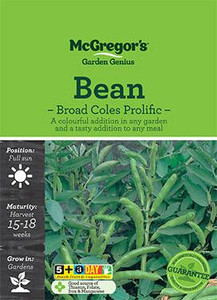MG Beans Broad Coles Dwarf MG Beans Broad Coles Dwarf