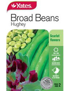 Yts Beans Broad Hughey - 2 Yts Beans Broad Hughey - 2