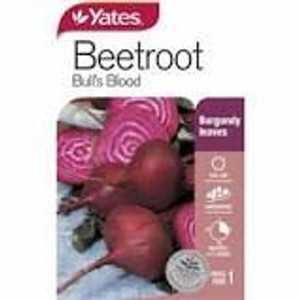 Yts Beetroot Bulls Blood - 1 Yts Beetroot Bulls Blood - 1