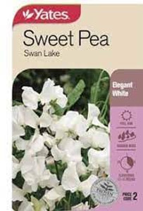Yts Sweet Pea Swan Lake - 2 Yts Sweet Pea Swan Lake - 2