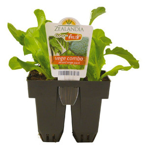 Big Jims Vegetable Punnets