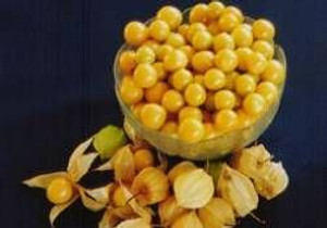 Cape Gooseberries 1.9L Cape Gooseberries 1.9L