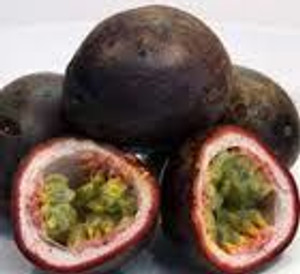 Passionfruit 'Robinsons Black' 12.5cm Passionfruit 'Robinsons Black' 12.5cm