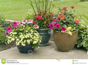 Planted Bowl With Annuals (89743)
