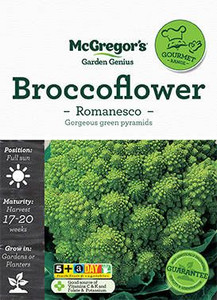 MG G Brocoflower Romanesco MG G Brocoflower Romanesco