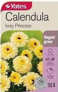 Yts Calendula Ivory Princess - Yts Calendula Ivory Princess -
