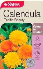 Yts Calendula Pacific Beauty -