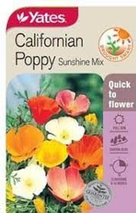 Yts Californian Poppy Sunshine Yts Californian Poppy Sunshine