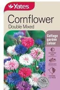 Yts Cornflower Double Mix - 1