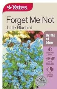 Yts Forget Me Not - 1 Yts Forget Me Not - 1