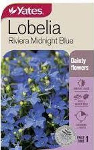 Yts Lobelia Riviera Blue - 1