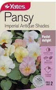 Yts Pansy Antique Shades - 2 Yts Pansy Antique Shades - 2