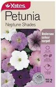 Yts Petunia Neptune Shades - 2 Yts Petunia Neptune Shades - 2