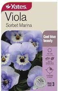 Yts Viola Sorbet Marina - 3 Yts Viola Sorbet Marina - 3