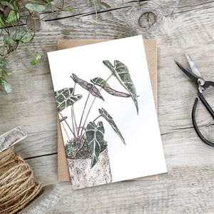 Card - Alocasia Amazonica Card - Alocasia Amazonica
