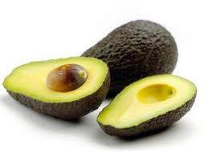 Avocado 'Hass' PB 5