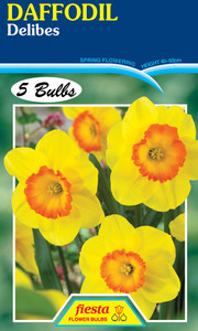 Daffodil 'Delibes' 5