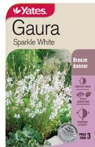 Yts Gaura Sparkle White - 3
