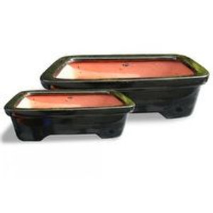 Bonsai - Rectangle Glazed L