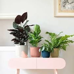 Pot - Vibes White 18cm Pot - Vibes White 18cm