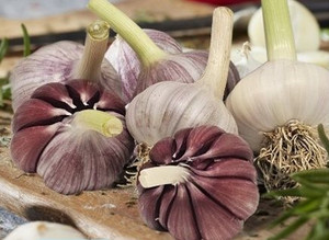 Garlic Bulbs - Creole 3