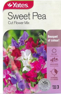Yts Sweet Pea Cut Flower - 3 Yts Sweet Pea Cut Flower - 3