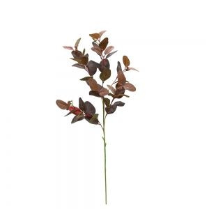 Foliage - Seeded Gum Outback R Foliage - Seeded Gum Outback R