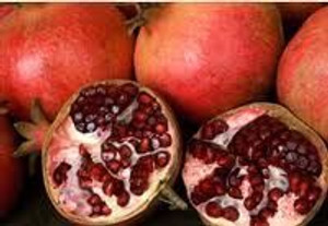 Pomegranate 'Wonderful' 3L (101502) 3L Pomegranate 'Wonderful' 3L (101502) 3L