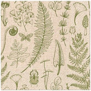 Luncheon - We Care Forest Natu